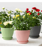 7045 FLOWER POT WITH TRAY - Image 2
