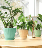 7045 FLOWER POT WITH TRAY - Image 3