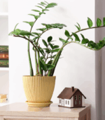 7045 FLOWER POT WITH TRAY - Image 4