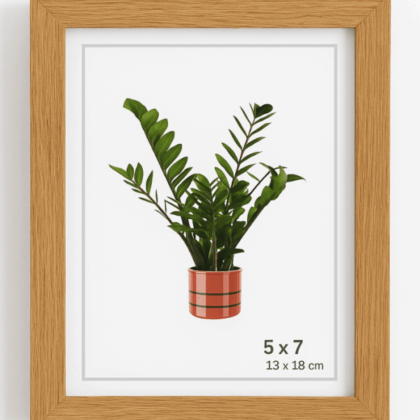 7223 FRAME (5*7)-21F